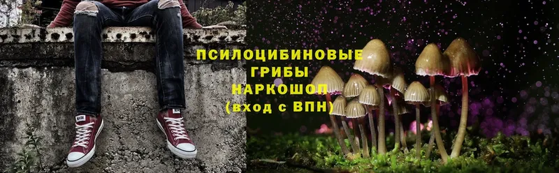 Галлюциногенные грибы MAGIC MUSHROOMS  Артёмовск 